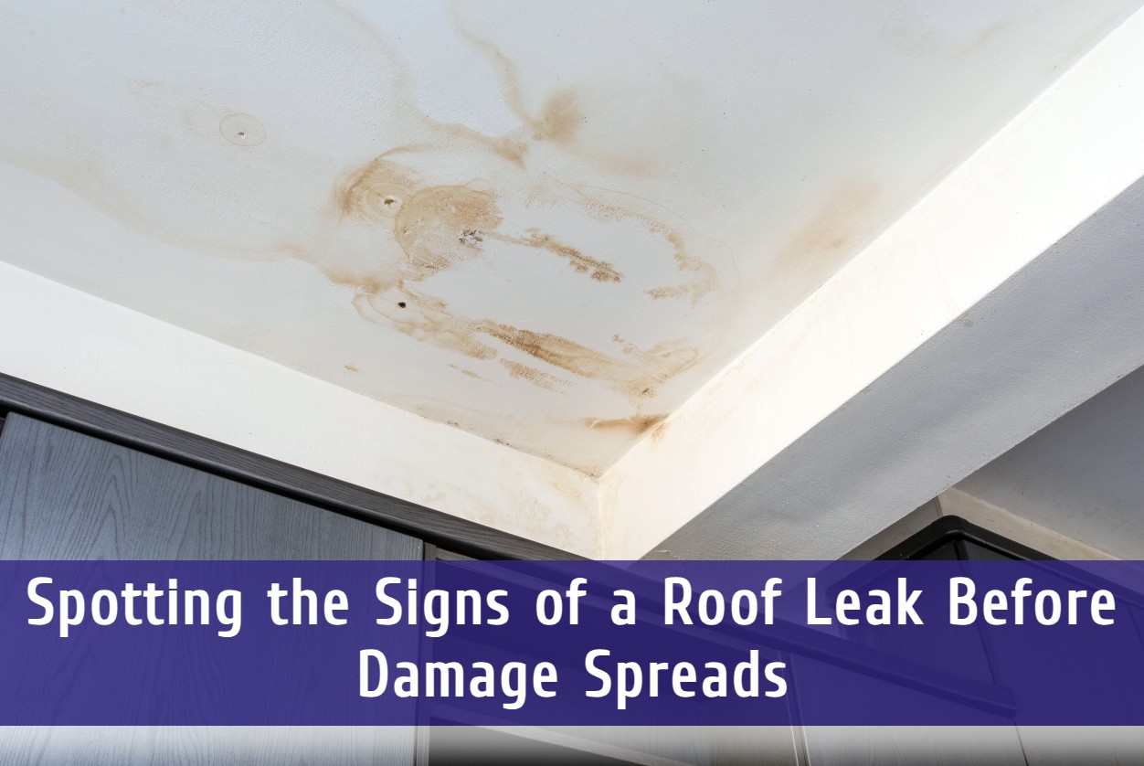 Spotting the Signs of a Roof Leak Before Damage Spreads